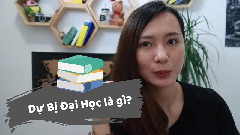 Học dự bị đại học là gì